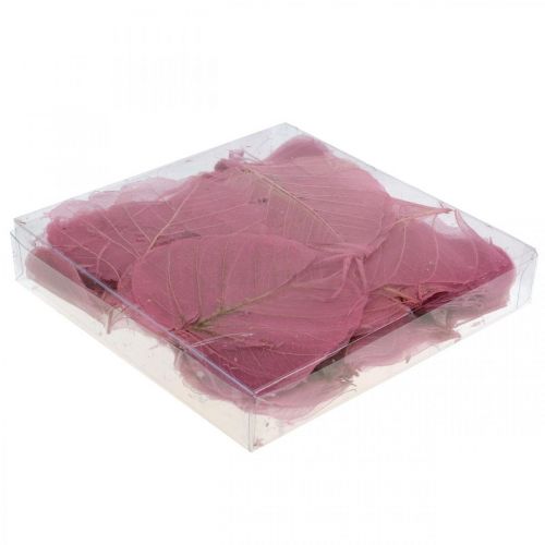 Floristik24 Skeletbladeren wilgenbladeren geskeletteerd oudroze 10-15cm 200 st