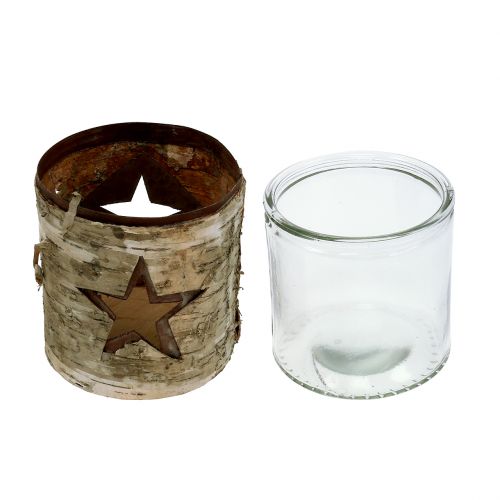 Floristik24 Lantaarnster met berk Ø10.5cm H11cm 1p