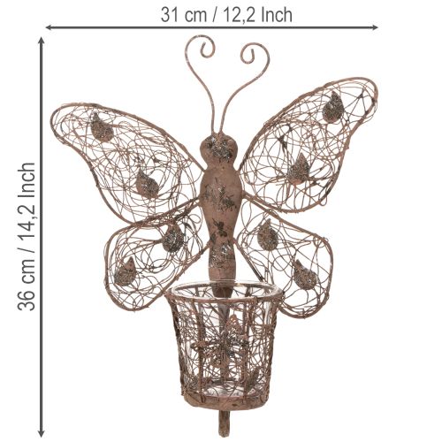 Metalen lantaarn, wanddecoratie, vlinder, roestkleurige afwerking, 36,5 cm | Floristik24.nl