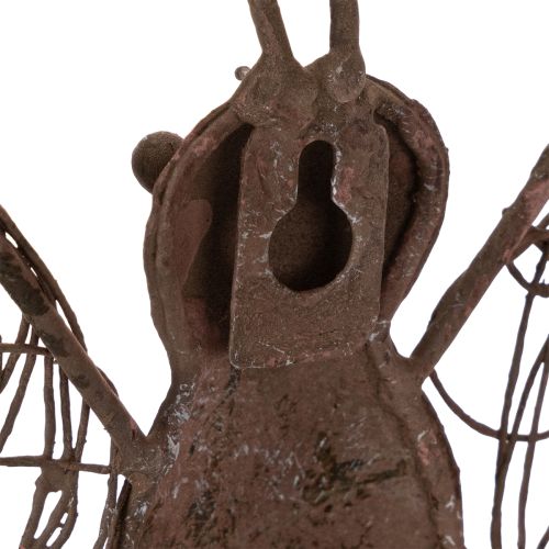 Metalen lantaarn, wanddecoratie, vlinder, roestkleurige afwerking, 36,5 cm | Floristik24.nl