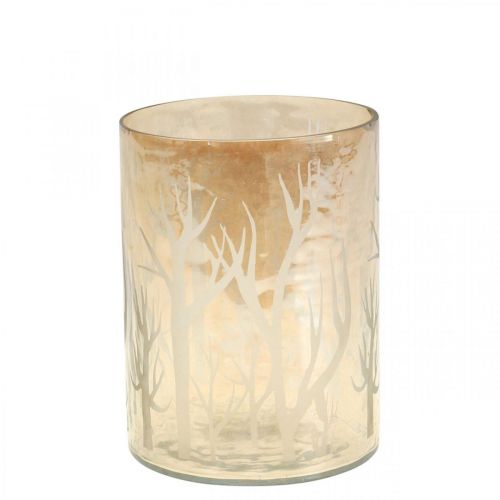 Floristik24 Lantaarn Glas Decoratie Bomen Bruin Theelicht Glas Ø9.5cm H13.5cm