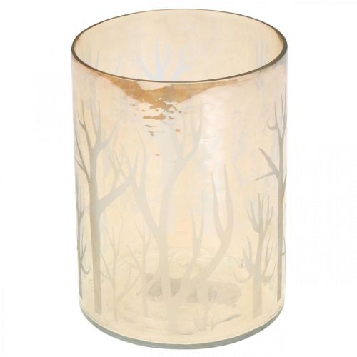 Artikel Lantaarn Glas Bomen Bruin Kaars Glas Ø12cm H15cm