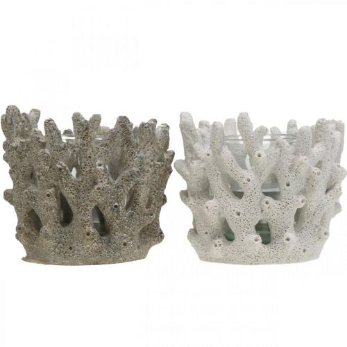 Floristik24 Lantaarn met glas in koraal design maritieme decoratie wit kunstmatig Ø9.5cm 2st
