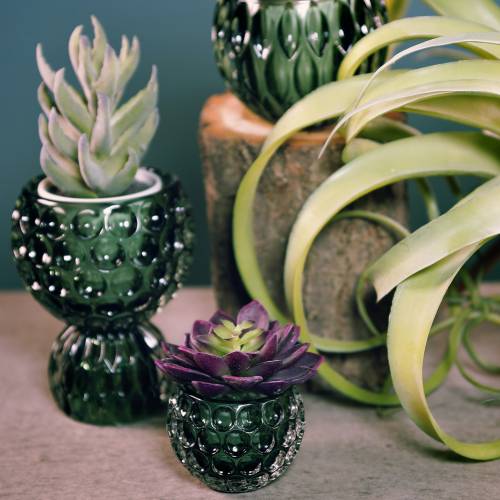 Floristik24 Glazen lantaarn donkergroen Ø11.5cm H9cm 1st