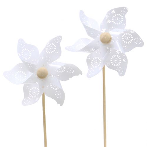 Floristik24 Molen Mini Wit Ø9cm 12st