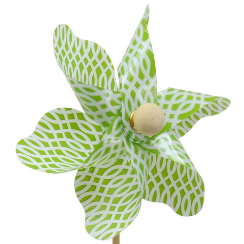 Floristik24 Windmolen Mini Groen-Wit Ø9cm 12st