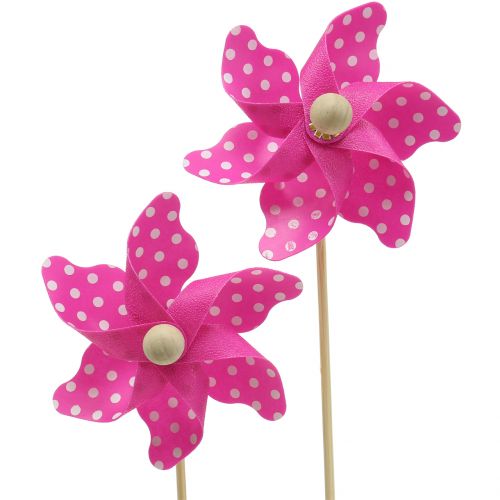 Floristik24 Decoratieve molen met stippen roze Ø8cm 12st