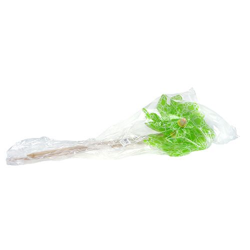 Floristik24 Windmolen Ø30cm L 74cm groen 2st