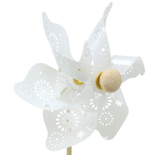 Floristik24 Molen Mini Wit Ø9cm 12st