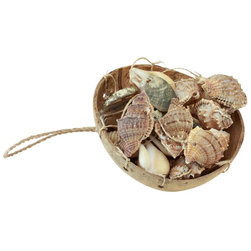 Artikel Windgong maritieme decoratie met natuurlijke kokosnoot Ø12,5cm 48cm