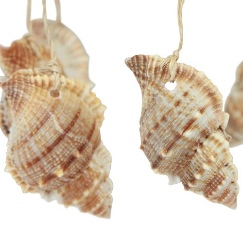 Artikel Windgong maritieme decoratie met natuurlijke kokosnoot Ø12,5cm 48cm