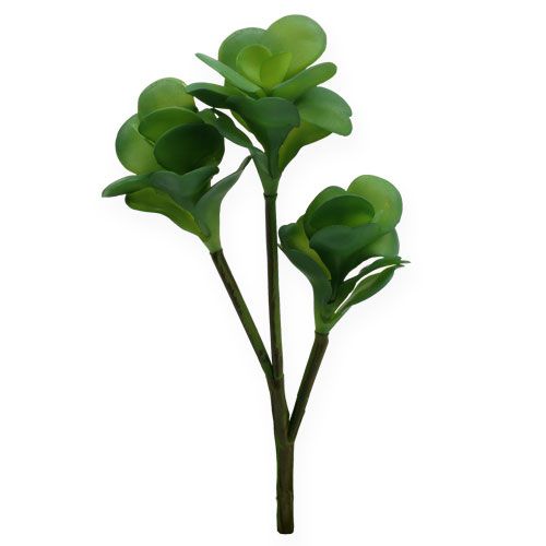 Kunstplanten woestijnkool groen 25cm 3st