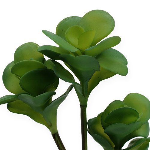 Floristik24 Kunstplanten woestijnkool groen 25cm 3st