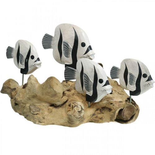 Decoratieve vis staand wortelhout display Maritieme decoratie 38cm
