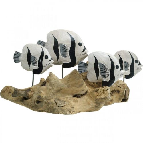 Floristik24 Decoratieve vis staand wortelhout display Maritieme decoratie 38cm