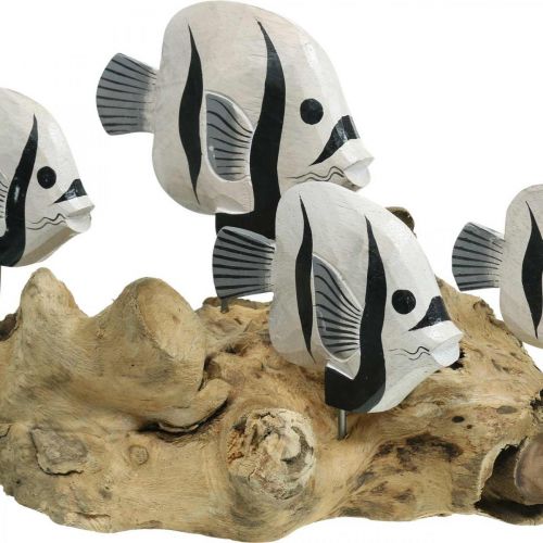 Floristik24 Decoratieve vis staand wortelhout display Maritieme decoratie 38cm