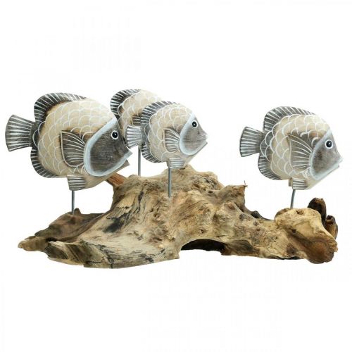 Floristik24 Decoratieve vissen op wortelhout Maritieme decoratieve figuren Bruin 38cm