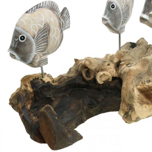 Artikel Decoratieve vissen op wortelhout Maritieme decoratieve figuren Bruin 38cm