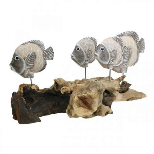 Floristik24 Decoratieve vissen op wortelhout Maritieme decoratieve figuren Bruin 38cm