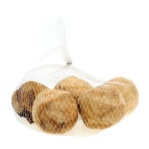 Floristik24 Kluit dennenhout Ø7cm naturel 5 st
