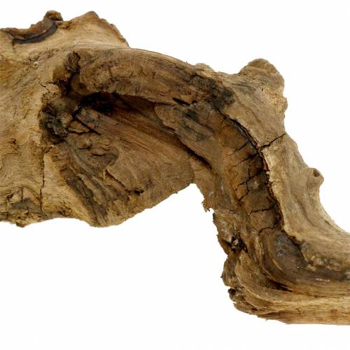 Floristik24 Decoratieve wortel naturel 1kg