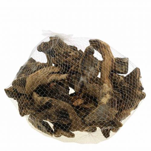 Floristik24 Decoratieve wortel naturel 1kg