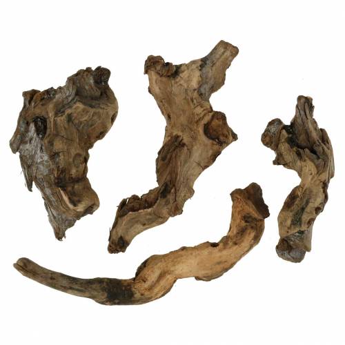 Floristik24 Decoratieve wortel naturel 1kg