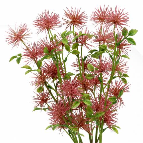 Floristik24 Xanthium zijde bloem oudroze 53cm 6st