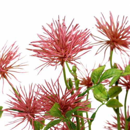 Floristik24 Xanthium zijde bloem oudroze 53cm 6st