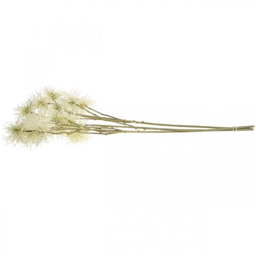 Artikel Xanthium kunstbloem crème herfstdecoratie 6 bloemen 80cm 3st