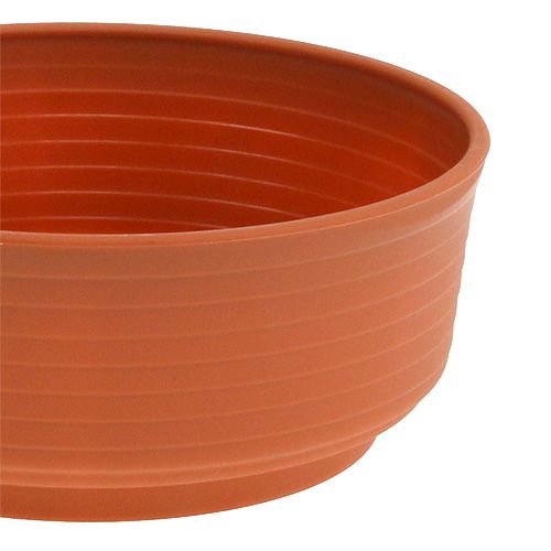 Artikel Z-kom kunststof 18cm 10 st