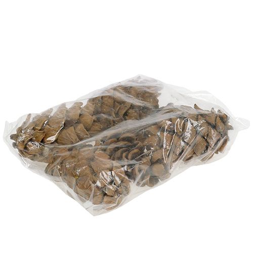 Floristik24 Kegels natuur 9cm - 10cm 6 st