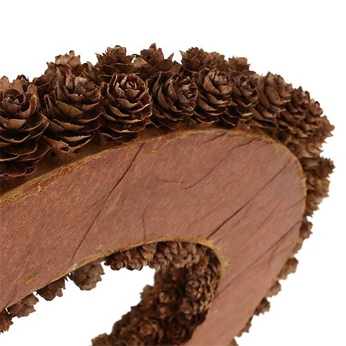 Floristik24 Kegelkrans Ø31cm Bruin