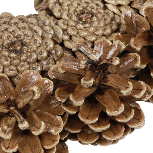 Floristik24 Kegelkrans dennenappels zwarte dennenappels Ø30cm