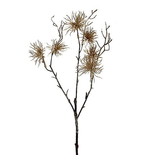 Toverhazelaar goud met glitter 50cm