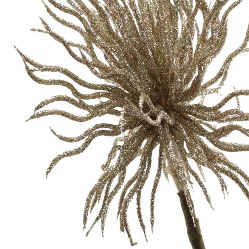 Floristik24 Clematis kunsttak champagne met glitter 32cm 5st