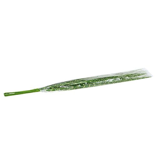 Floristik24 Zebragras groen H82cm 6st