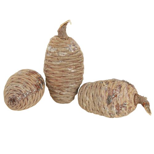 Artikel Cederkegels decoratief cederhout naturel 9-10,5cm 3 st