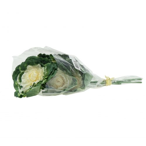 Floristik24 Kunstplantenkoolwit, groen 25cm 6st
