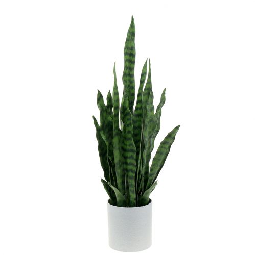Sansevieria kunstmatig in pot H62cm | Floristik24.nl