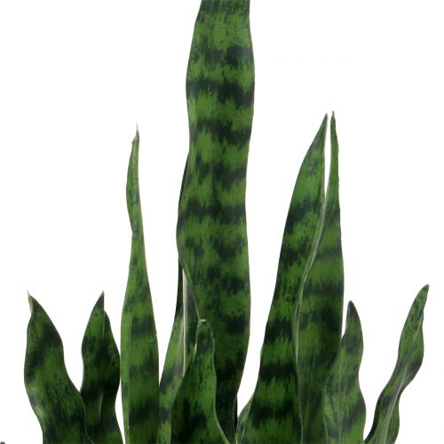 Floristik24 Sansevieria kunstplant in pot H90cm