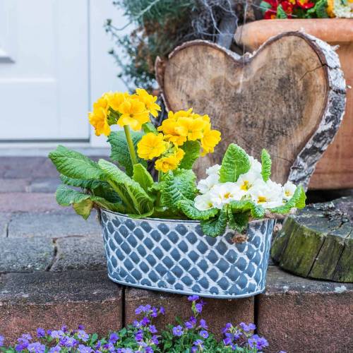 Floristik24 Zink schaal ruit met touw handvatten ovaal 32cm H15cm