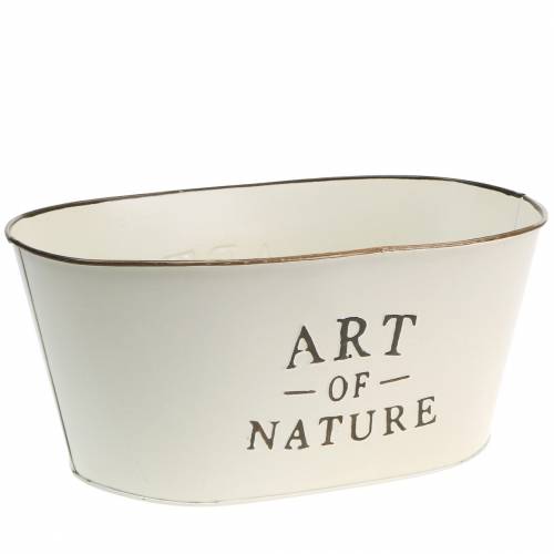 Floristik24 Bloemschaal ovaal zink crème 27×18cm H12.5cm