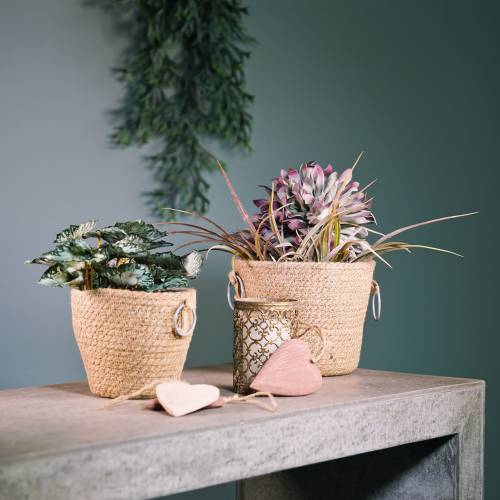 Floristik24 Zinken pot met jute cachepot Ø18cm H15cm