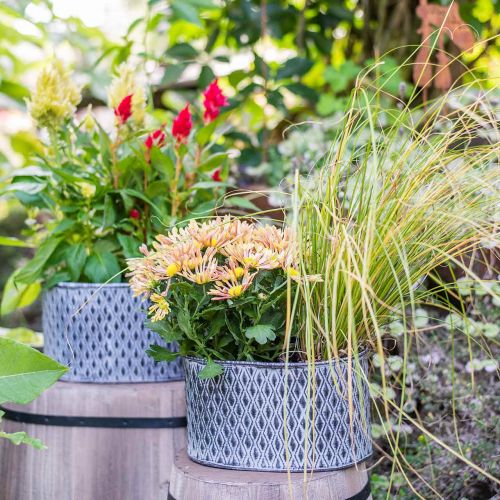 Floristik24 Zinkpot met ruitpatroon ovaal 23cm x 15cm / 21.5cm x 14cm 2st