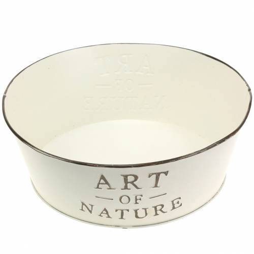 Floristik24 Bloemschaal rond zink creme Ø25cm H9cm