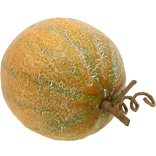 Floristik24 Decoratieve meloen meloen Ø14cm
