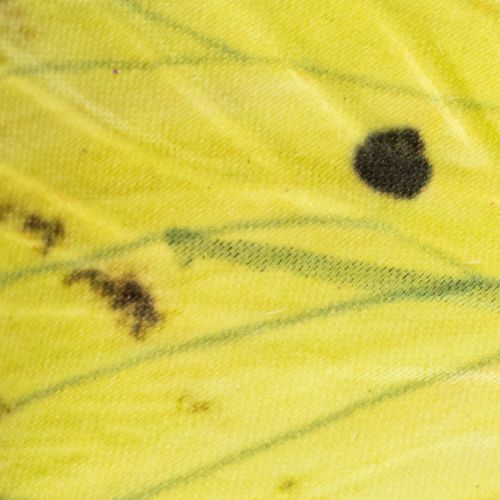 Artikel Vlindertak, artistieke lentedecoratie voor binnen, 75 cm