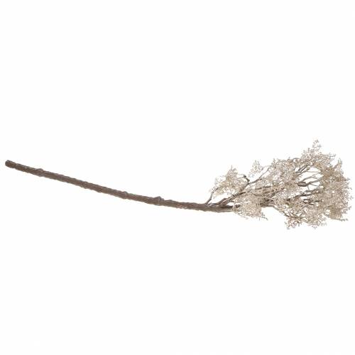 Floristik24 Decoratietak rosé goud metallic 62cm