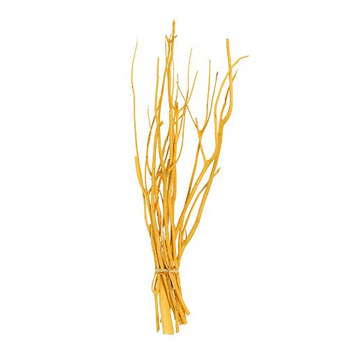 Floristik24 Decoratieve takken Mitsumata geel 45-60cm 12 st